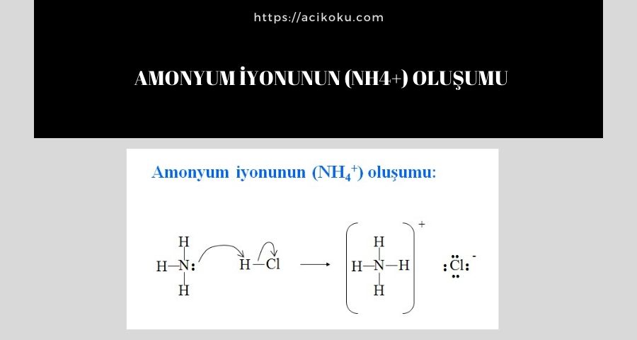 Amonyum iyonunun (NH4+) oluşumu